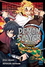 Demon slayer : kimetsu no yaiba Stories of water and flame Book cover