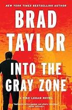 Into the gray zone Book cover