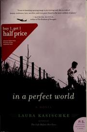In a perfect world : a novel Book cover
