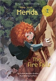 The Fire Falls Book cover