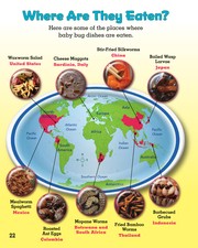Baby bug dishes  Cover Image