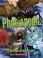 Go to record Phobiapedia : all the things we fear the most!