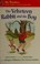 Go to record The Velveteen Rabbit and the boy