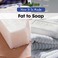 Go to record Fat to soap