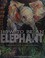 Go to record How to be an elephant : growing up in the African wild