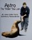 Go to record Astro : the Steller sea lion