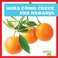 Go to record Mira cómo crece una naranja
