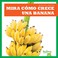 Go to record Mira cómo crece una banana
