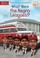 Go to record What were the Negro Leagues?