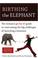 Go to record Birthing the elephant : the woman's go-for-it! guide to ov...