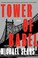 Go to record Tower of Babel