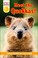 Go to record Meet the quokkas!