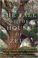 Go to record The fall of the house of Zeus : the rise and ruin of Ameri...