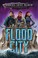 Go to record Flood City