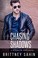 Go to record Chasing shadows