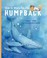 Go to record Show us where you live, humpback