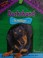 Go to record Dachshund : the hot dogger