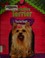 Go to record Yorkshire terrier : tiny but tough