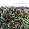 Go to record Hardy succulents : tough plants for every climate