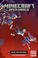 Go to record Minecraft : open world. into the nether