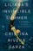 Go to record Liliana's invincible summer : a sister's search for justice