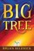 Go to record Big tree