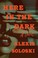 Go to record Here in the dark