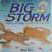 Go to record The big storm : a very soggy counting book