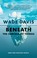 Go to record Beneath the surface of things : new and selected essays