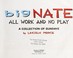 Go to record Big Nate : all work and no play : a collection of Sundays