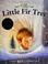 Go to record The little fir tree