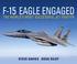 Go to record F-15 Eagle engaged : the world's most successful jet fighter