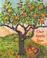 Go to record Our apple tree