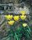 Go to record Successful flower gardening