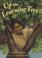 Go to record Up the learning tree