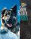 Go to record Snow search dogs