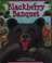 Go to record Blackberry banquet