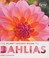 Go to record The plant lover's guide to dahlias