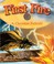 Go to record First fire : a Cherokee folktale