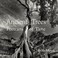 Go to record Ancient trees : portraits of time
