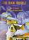 Go to record The magic dreidels : a Hanukkah story