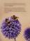 Go to record How do animals help plants reproduce?