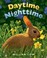 Go to record Daytime nighttime