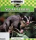 Go to record Sugar gliders