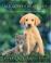 Go to record All God's creatures : the blessing of animal companions