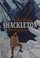 Go to record Shackleton : Antarctic odyssey