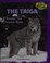 Go to record The taiga : discover this forested biome