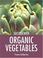 Go to record Success with organic vegetables