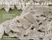 Go to record Crocheting on the edge : ribs & bobbles, ruffles, flora, f...