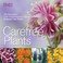 Go to record Carefree plants : 200 beautiful, low-maintenance plants an...